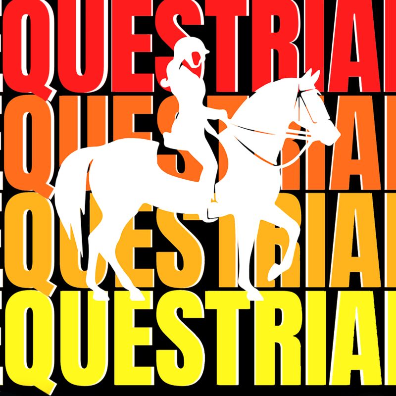 equest12 copy 2 Thumbnail