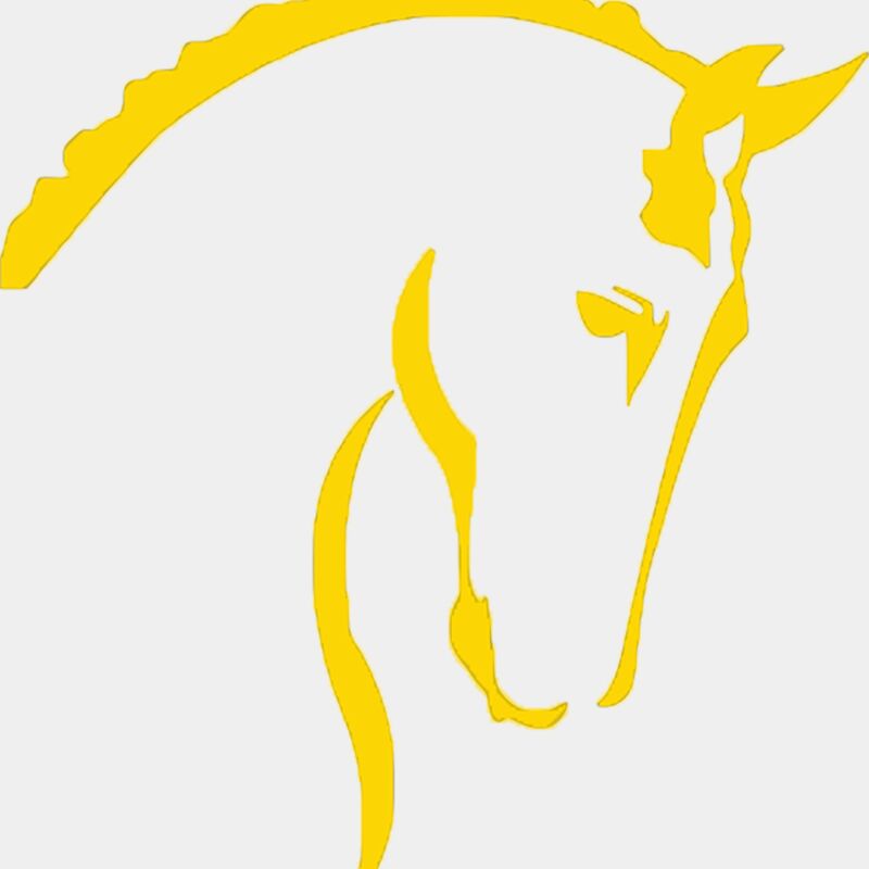 Horse copy 2Y Thumbnail